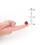 Organic Men's Gummy Vitamins - Berry Flavor, Vegan