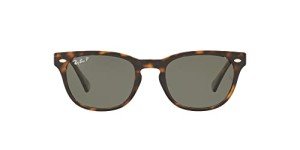 Ray-Ban Wayfarer Light Havana Polarized Sunglasses