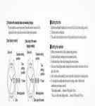 Citizen Promaster Eco-Drive Dive Watch - Black/Stainless