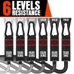 Heavy Resistance Bands Set for Men - 300LBS