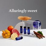 Pure Instinct Pheromone Infused Oil Perfume 3-Pack