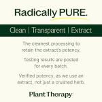 Maca Root Capsules for Mood and Energy Boost