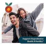 Pattern Wellness Maca Root Supplement - 10,000mg