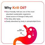 MegaRed Extra Strength Krill Oil Supplement 500mg