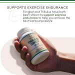 Tongkat Ali 1000mg - Men's Health Support