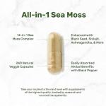 Irish Sea Moss Supplement with Black Seed Oil & Ashwagandha