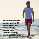 Irish Sea Moss Supplement with Black Seed Oil & Ashwagandha