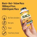 Organic Maca Root – 1900 mg for Energy Boost