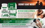 Horny Goat Weed & Maca Root Energy Booster