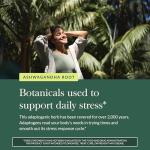 Organic Ashwagandha Root for Stress Relief and Sleep