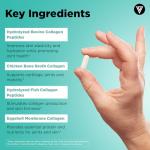 Vital Vitamins Multi Collagen for Men and Women