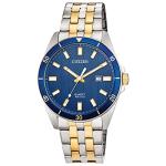 Citizen Two-Tone Stainless Steel Men's Watch