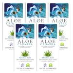 Aloe Cadabra Water-Based Lubricant 5-Pack