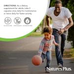 NaturesPlus T Male - Boost Muscle, Stamina & Mood