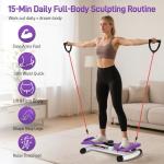 Waist Twister Machine for Home Fitness