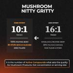 SOLVELabs Lions Mane High Strength Nootropic Supplement