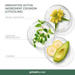 Primal Harvest Kogni Boost Tablets for Mental Focus