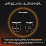 SOLVELabs Lions Mane High Strength Nootropic Supplement