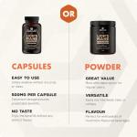 SOLVELabs Lions Mane High Strength Nootropic Supplement