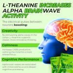 Mint Matcha Energy Chews with Caffeine & L-Theanine