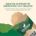 Organic Lion's Mane Mushroom Powder for Cognitive Support
