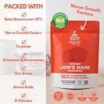 Organic Lion's Mane Mushroom Powder - 10X Strength