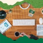 Organic Lion's Mane Mushroom Powder for Cognitive Support