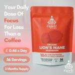 Organic Lion's Mane Mushroom Powder - 10X Strength
