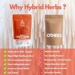 Organic Lion's Mane Mushroom Powder - 10X Strength