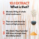 Organic Lion's Mane Mushroom Powder - 10X Strength