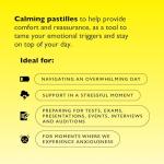 Blackcurrant Rescue Remedy Pastilles for Stress Relief