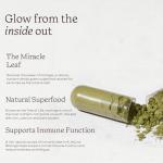 Aduna Organic Moringa Capsules for Energy & Immunity