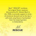 Blackcurrant Rescue Remedy Pastilles for Stress Relief