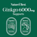 High Strength Ginkgo Biloba 6000mg - 120 Vegan Tablets