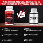 Fadogia Agrestis 1000mg with Ashwagandha & Zinc