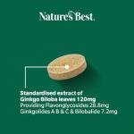 High Strength Ginkgo Biloba 6000mg - 120 Vegan Tablets