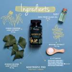 Vegavero Brain Supplements with Ayurveda Herbs