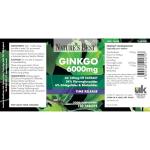 High Strength Ginkgo Biloba 6000mg - 120 Vegan Tablets