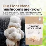 Organic Lion's Mane Mushroom Powder for Brain Support