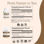 Lion's Mane Brain Boost Capsules - Cognitive Support