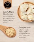 Lion's Mane Mushroom Powder for Focus & Clarity
