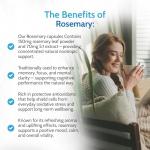 Rosemary Capsules 500mg for Memory & Focus