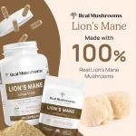 Lion's Mane Brain Boost Capsules - Cognitive Support