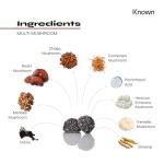 Multi Mushroom Gummies for Brain & Immune Support