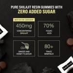 Kapiva Himalayan Shilajit Energy Gummies - 60 Count