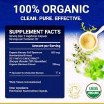 Organic Bacopa Monnieri Capsules with 50% Bacosides