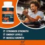 Beta Ecdysterone 1200mg - 60 Capsules for Muscle Growth