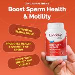 Men's Fertility Support Supplement for Sperm Health