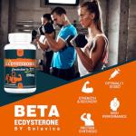 Beta Ecdysterone 1200mg - 60 Capsules for Muscle Growth