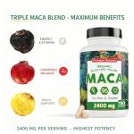 Organic Maca Capsules - Gelatinized Root Supplement